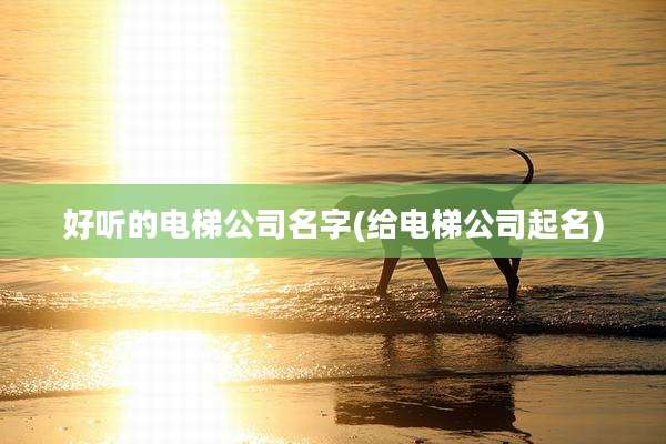 好听的电梯公司名字(给电梯公司起名)