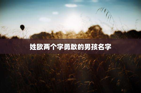 姓欧两个字勇敢的男孩名字