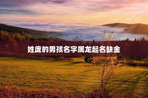 姓庞的男孩名字属龙起名缺金