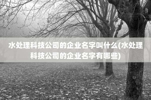 水处理科技公司的企业名字叫什么(水处理科技公司的企业名字有哪些)