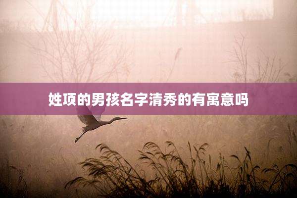 姓项的男孩名字清秀的有寓意吗