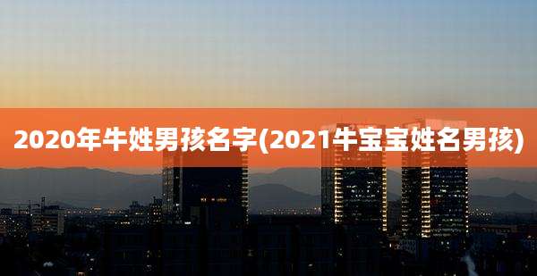 2020年牛姓男孩名字(2021牛宝宝姓名男孩)