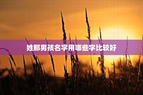 姓那男孩名字用哪些字比较好