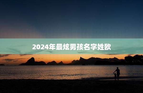 2024年最炫男孩名字姓欧
