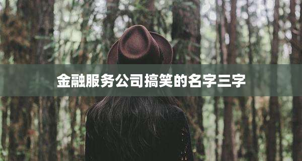 金融服务公司搞笑的名字三字