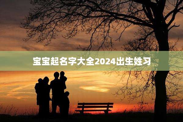 宝宝起名字大全2024出生姓习