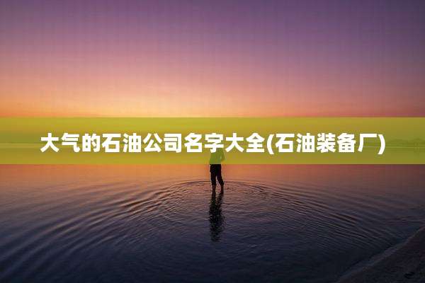 大气的石油公司名字大全(石油装备厂)