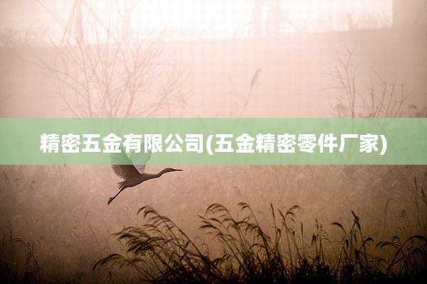 精密五金有限公司(五金精密零件厂家)