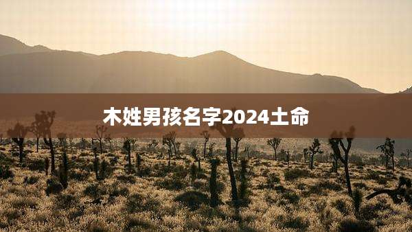 木姓男孩名字2024土命