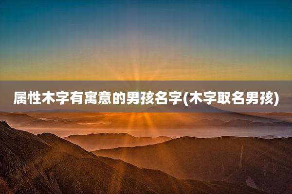 属性木字有寓意的男孩名字(木字取名男孩)
