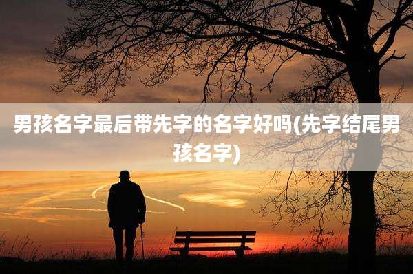 男孩名字最后带先字的名字好吗(先字结尾男孩名字)
