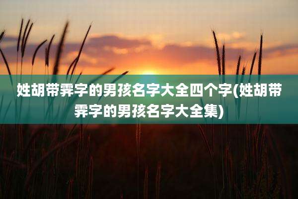 姓胡带霁字的男孩名字大全四个字(姓胡带霁字的男孩名字大全集)