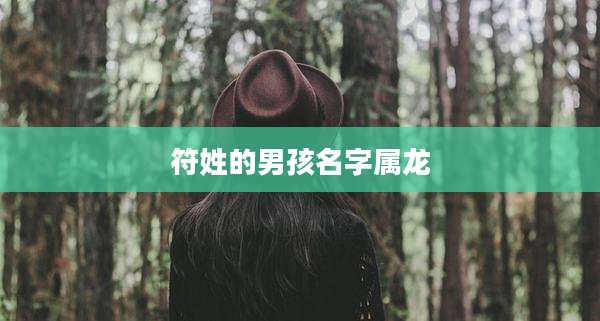 符姓的男孩名字属龙