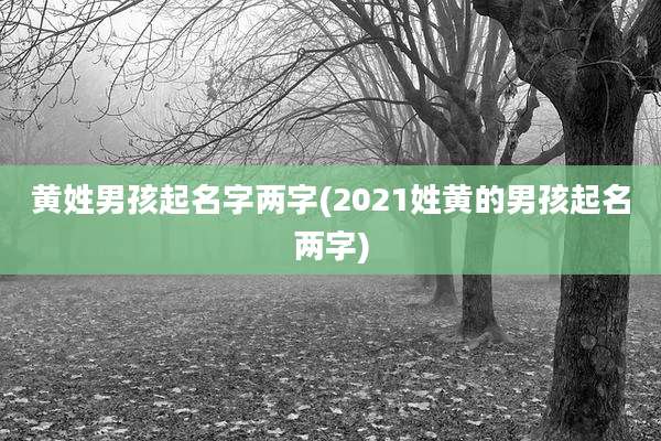 黄姓男孩起名字两字(2021姓黄的男孩起名两字)