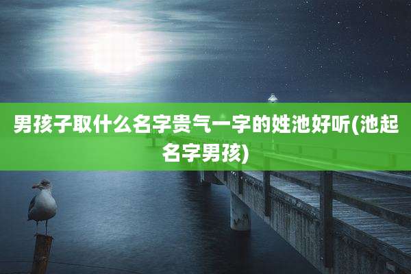 男孩子取什么名字贵气一字的姓池好听(池起名字男孩)