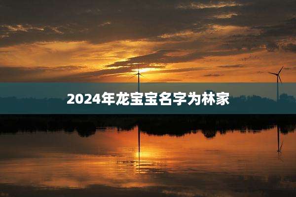 2024年龙宝宝名字为林家