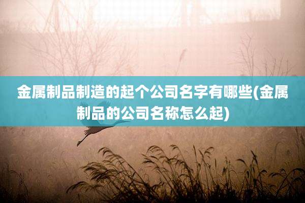 金属制品制造的起个公司名字有哪些(金属制品的公司名称怎么起)