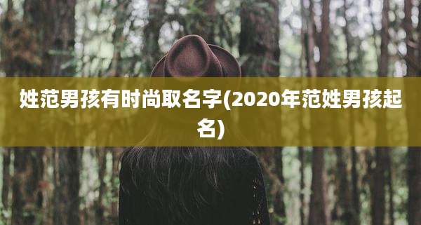 姓范男孩有时尚取名字(2020年范姓男孩起名)