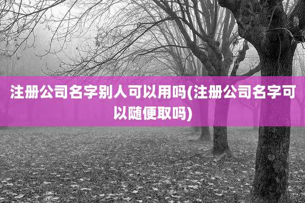 注册公司名字别人可以用吗(注册公司名字可以随便取吗)
