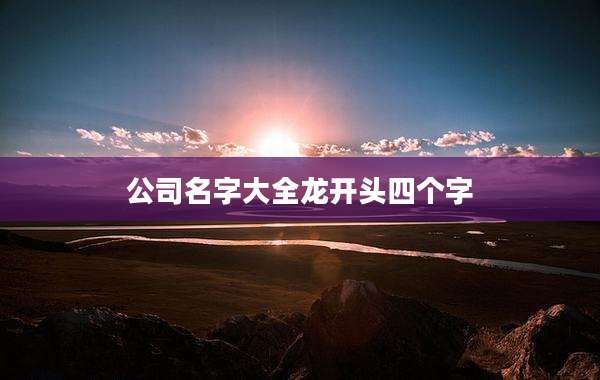 公司名字大全龙开头四个字