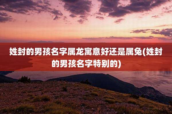 姓封的男孩名字属龙寓意好还是属兔(姓封的男孩名字特别的)