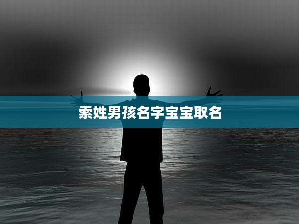 索姓男孩名字宝宝取名