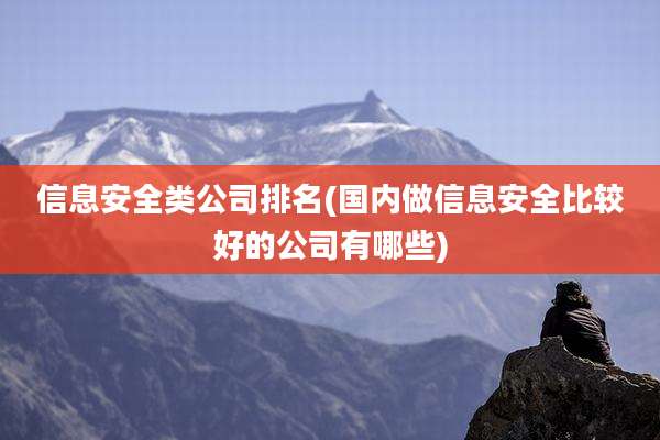 信息安全类公司排名(国内做信息安全比较好的公司有哪些)