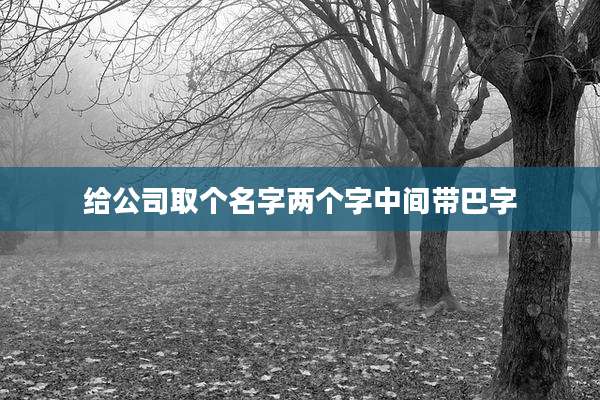 给公司取个名字两个字中间带巴字