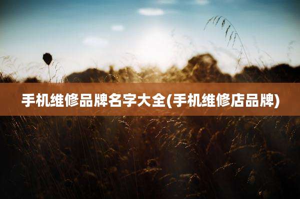 手机维修品牌名字大全(手机维修店品牌)