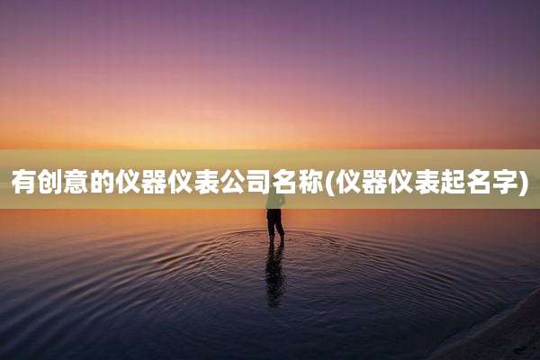 有创意的仪器仪表公司名称(仪器仪表起名字)