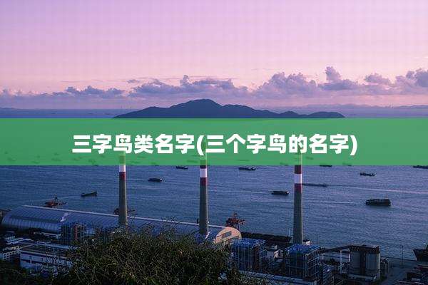 三字鸟类名字(三个字鸟的名字)