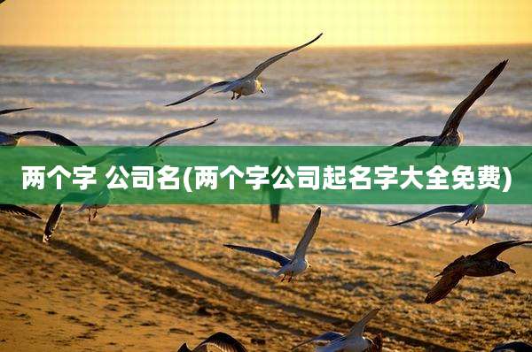两个字 公司名(两个字公司起名字大全免费)