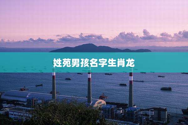 姓苑男孩名字生肖龙
