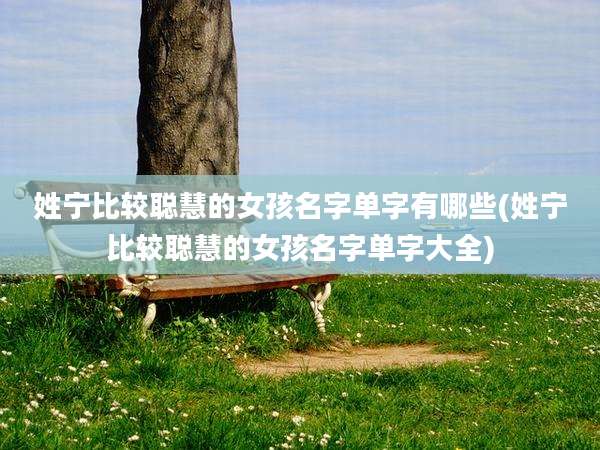 姓宁比较聪慧的女孩名字单字有哪些(姓宁比较聪慧的女孩名字单字大全)