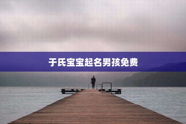 于氏宝宝起名男孩免费