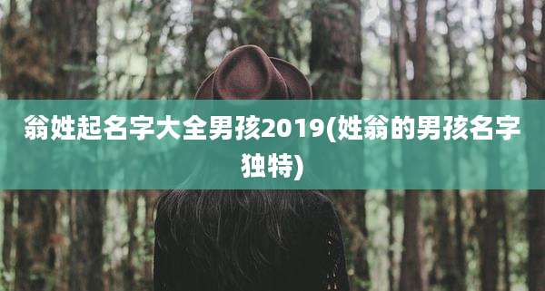 翁姓起名字大全男孩2019(姓翁的男孩名字独特)