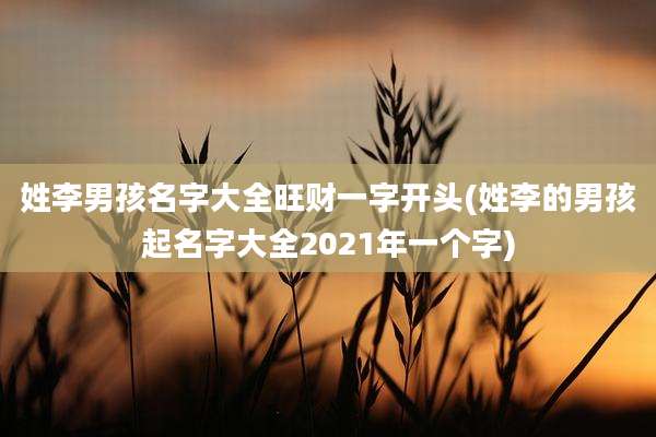 姓李男孩名字大全旺财一字开头(姓李的男孩起名字大全2021年一个字)