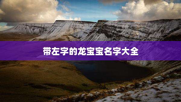 带左字的龙宝宝名字大全