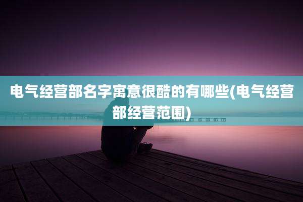 电气经营部名字寓意很酷的有哪些(电气经营部经营范围)
