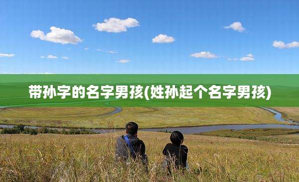 带孙字的名字男孩(姓孙起个名字男孩)