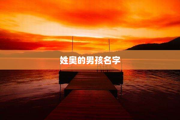 姓奥的男孩名字
