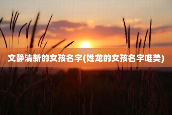 文静清新的女孩名字(姓龙的女孩名字唯美)