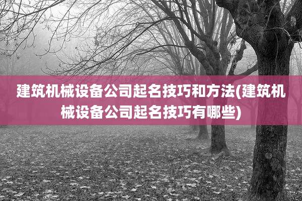 建筑机械设备公司起名技巧和方法(建筑机械设备公司起名技巧有哪些)