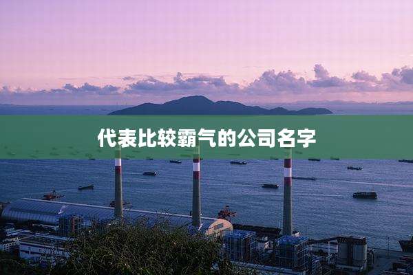 代表比较霸气的公司名字