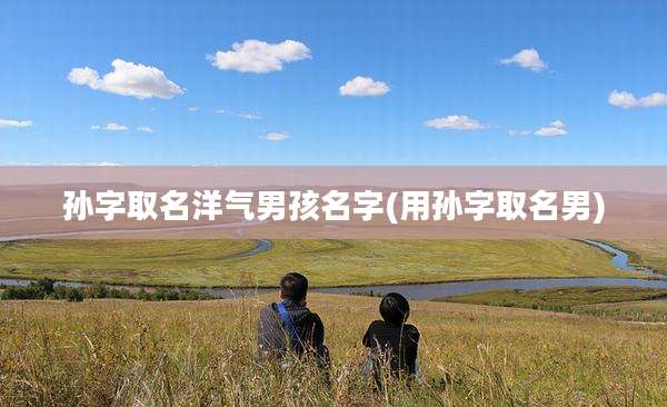 孙字取名洋气男孩名字(用孙字取名男)