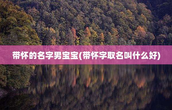 带怀的名字男宝宝(带怀字取名叫什么好)