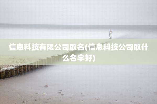 信息科技有限公司取名(信息科技公司取什么名字好)