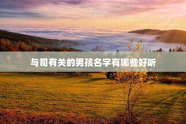与司有关的男孩名字有哪些好听
