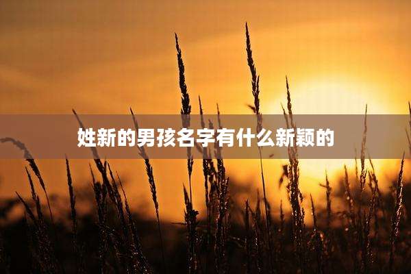 姓新的男孩名字有什么新颖的