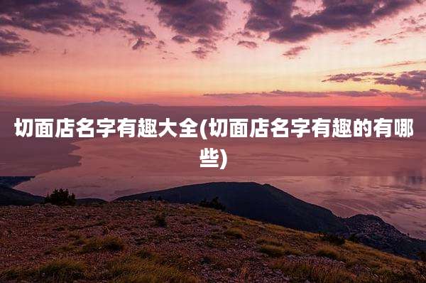 切面店名字有趣大全(切面店名字有趣的有哪些)